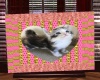 quadro pinklove kitty