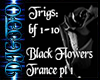 Black Flowers -trance-