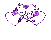 LLTtriple Purple Hearts