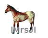 Roan Animated Horse