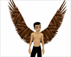 brown wings