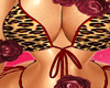 TAN -2 Skin