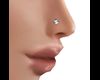 Nose Piercing/Ring