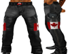 Canadian Leather Chaps