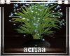 Vase Plant fountain A