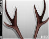 Marsh Horns V3