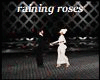raining roses 