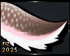 . Adora | Tail