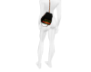 Backpack G