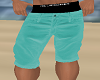 Sea Green Beach Shorts