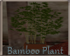 [BM]Boho-BambooPlant