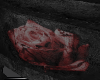 !Blood Rose Coffin