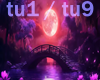 Tu n'es pas la p 1