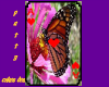 butterfly card ace heart