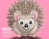 Cutest Hedgehog Pet