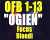 /Ogien-Focus&Blondi/