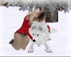 Christmas Spirit Wolf