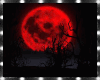 Blood Moon Forest Photo