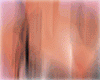 Coquette denim Rose