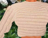 classy btc sweater