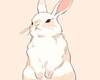 Bunny Moody Picture