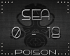 |P| Sea Shanty