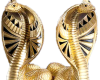 Egyptian Cobras