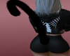 Blk Kitty tail