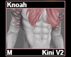 Knoah Kini M V2