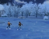 Frozen Pond Ice Skating