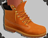 {W} Boot