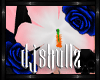 💀| Hibiscus R