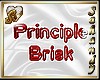 "S" PRINCIPLE BRISK