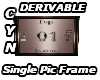 Derivable S Pic Frame