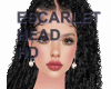 !! ESCARLET HEAD HD