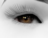 STEM EYES