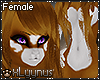 🐺 Shaylan l Fem Fur