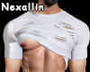 Shirt + Muscle Cut White