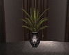 MD:Penthouse Vase