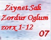 Ziynet Sali Zordur Oglum