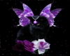 blackcat/wings/flower