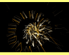 *Light Silver & Gold