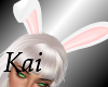 BUNNY EARS/ANIMATED!