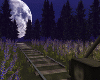 Night Train♦