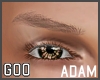 {G} Adam Brows Blonde Md