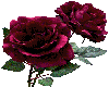 [dEs] Colored roses