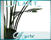 *A* Victor Plant