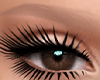 Blonde Eyebrows