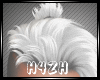 Hz-Bun White Hair