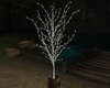 Lit Potted Tree